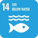 /sdg/life_below_water.png SDG icon